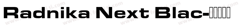 Radnika Next Blac字体转换